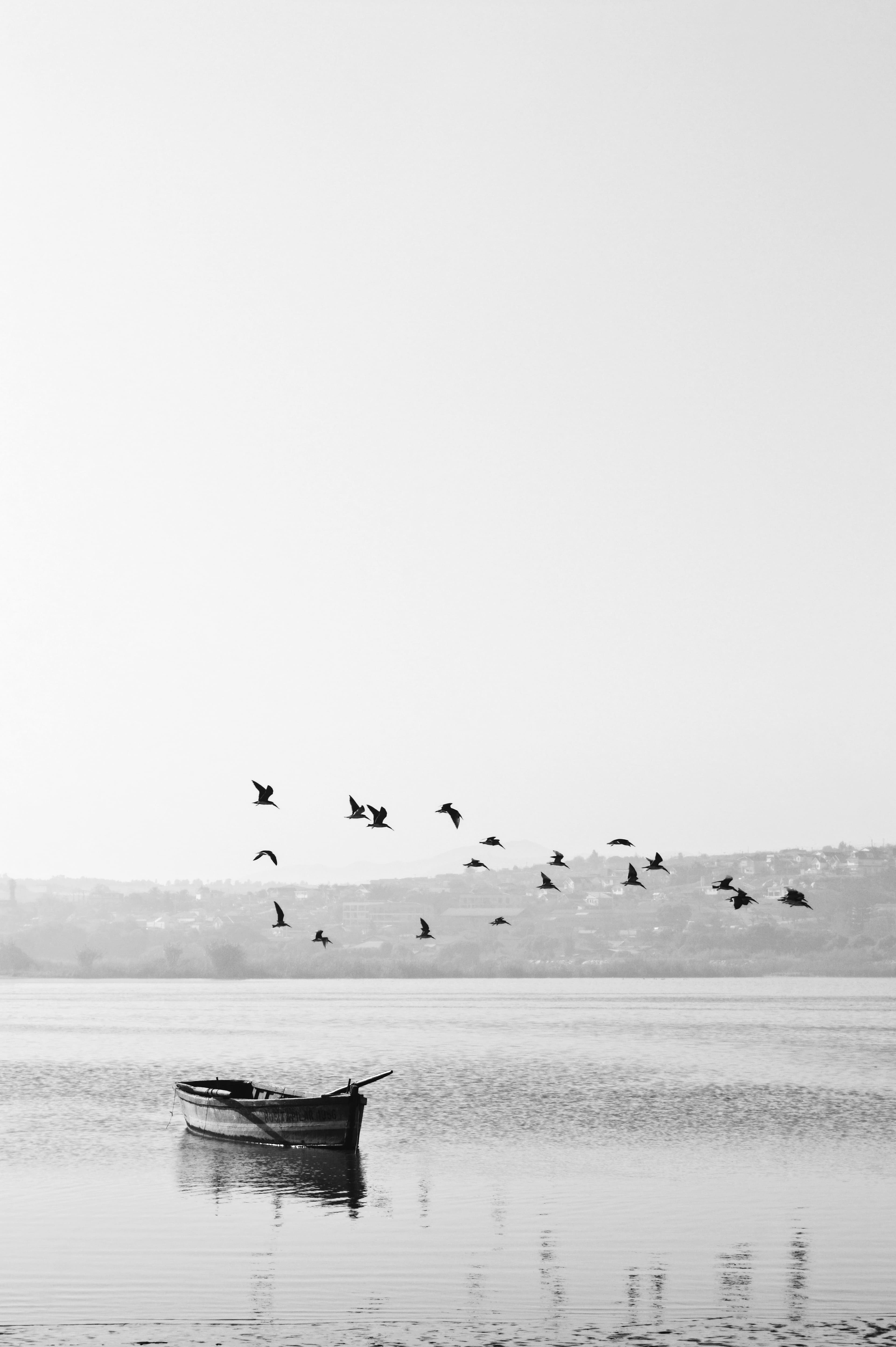 boat on a lake