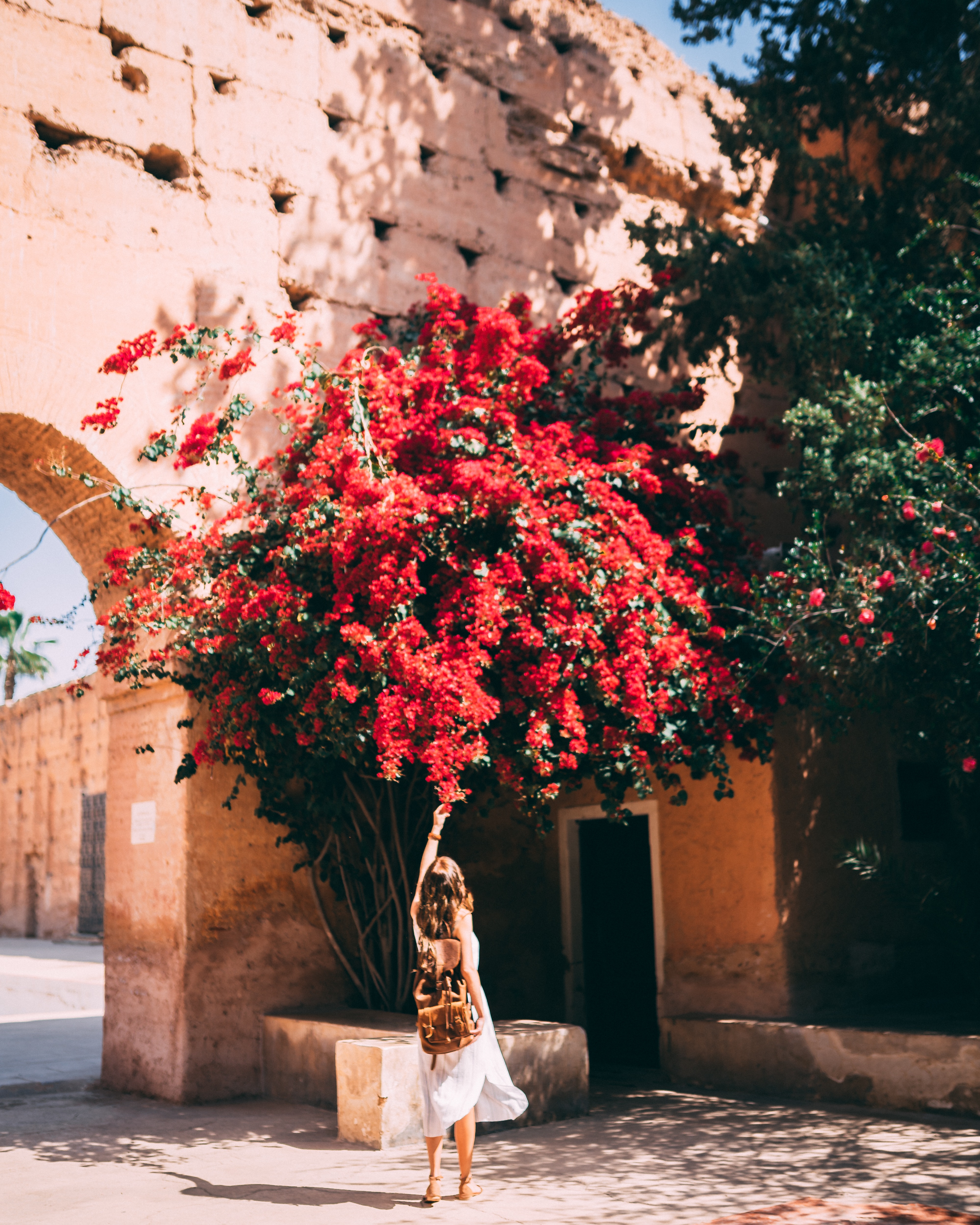 lady in front of flower bush
